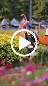 BIB:  <button type="button" onclick="openModal(27588676)" class="btn btn-primary btn-sm float-right" data-toggle="modal" data-target=".modal-high-quality">
                <i class="fa fa-download"></i> Download
                </button>